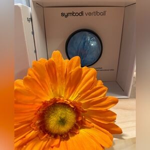Symbodi Vertiball